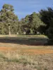 8B Whittaker Way, Waroona, WA 6215-Image