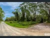 9-13 Koree  Street, Pindimar, NSW 2324-Image
