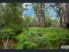 9-13 Koree  Street, Pindimar, NSW 2324-Image
