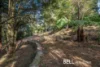 9 Broompark Crescent, Olinda, Vic 3788-Image