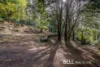 9 Broompark Crescent, Olinda, Vic 3788-Image
