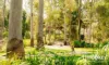 9 Callington Street, Yarrabilba, Qld 4207-Image