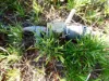 9 Cemetery Rd, Warracknabeal, Vic 3393-Image