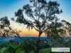 9 Eric Avenue, Armidale, NSW 2350-Image