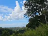 9 Evergreen View, Bilambil Heights, NSW 2486-Image