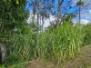 9 Evergreen View, Bilambil Heights, NSW 2486-Image