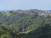 9 Evergreen View, Bilambil Heights, NSW 2486-Image