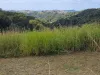 9 Evergreen View, Bilambil Heights, NSW 2486-Image