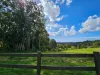 9 Evergreen View, Bilambil Heights, NSW 2486-Image