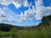 9 Evergreen View, Bilambil Heights, NSW 2486-Image
