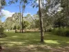 9 Gentle Annie Road, Apple Tree Creek, Qld 4660-Image