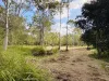 9 Gentle Annie Road, Apple Tree Creek, Qld 4660-Image