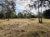 9 Gentle Annie Road, Apple Tree Creek, Qld 4660-Image