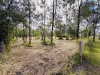 9 Gentle Annie Road, Apple Tree Creek, Qld 4660-Image