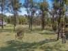 9 Grebe Court, Laidley Heights, Qld 4341-Image