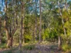 9 Hargrave Place, Mount Nelson, Tas 7007-Image