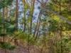 9 Hargrave Place, Mount Nelson, Tas 7007-Image