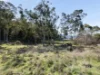 9 Hillcot Place, Glenorchy, Tas 7010-Image