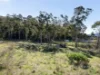 9 Hillcot Place, Glenorchy, Tas 7010-Image