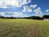 9 Jackson Drive, Atherton, Qld 4883-Image