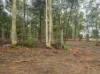 9 Jerberra Road, Tomerong, NSW 2540-Image