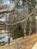 9 Jessup Terrace, Northam, WA 6401-Image