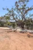 9 Jessup Terrace, Northam, WA 6401-Image