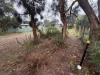 9 Karri Street, Walpole, WA 6398-Image