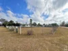 9 Melvin Street, Pentland, Qld 4816-Image