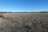 9 Park Terrace North, Edithburgh, SA 5583-Image