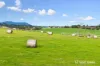 9 Paynes Road, Chirnside Park, Vic 3116-Image
