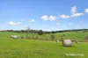 9 Paynes Road, Chirnside Park, Vic 3116-Image
