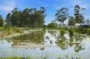 9 Senecio Way, Witchcliffe, WA 6286-Image