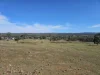 9 Tarleton Street, Swansea, Tas 7190-Image