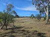 9 Tarleton Street, Swansea, Tas 7190-Image