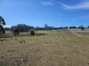 9 Tarleton Street, Swansea, Tas 7190-Image