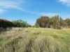 90 White Kangaroo Road, Campania, Tas 7026