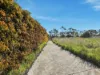90 White Kangaroo Road, Campania, Tas 7026-Image