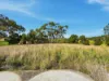 90 White Kangaroo Road, Campania, Tas 7026-Image