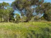 90 White Kangaroo Road, Campania, Tas 7026-Image