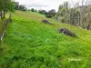 90 William Street, Forth, Tas 7310-Image
