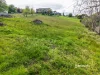 90 William Street, Forth, Tas 7310-Image