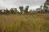 90 Woodleigh Road, Millstream, Qld 4888-Image