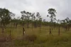 90 Woodleigh Road, Millstream, Qld 4888-Image