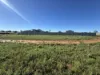 91 Cobbin Street, Port Augusta West, SA 5700-Image