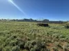 91 Cobbin Street, Port Augusta West, SA 5700-Image
