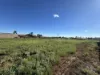 91 Cobbin Street, Port Augusta West, SA 5700-Image
