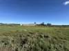 91 Cobbin Street, Port Augusta West, SA 5700-Image