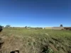 91 Cobbin Street, Port Augusta West, SA 5700-Image