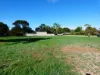 91 Phillips St, Beulah, Vic 3395-Image